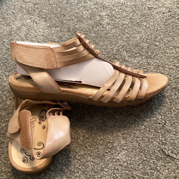 Bare traps - Picture 8 of 8